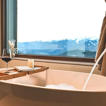 Chalet Alpin Dachsteinhaus