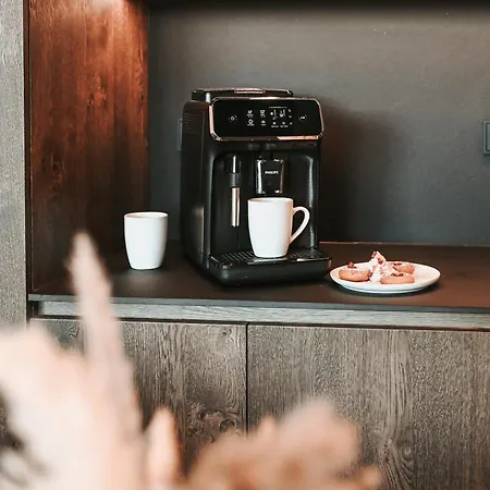 Chalet Alpin Dachsteinhaus