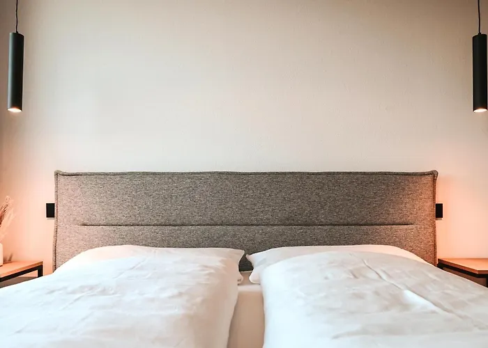 شاليه Alpin Dachsteinhaus *