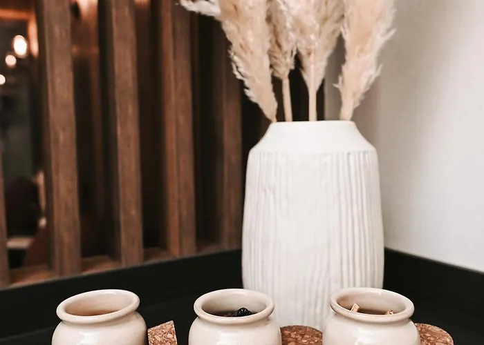 Alpin Dachsteinhaus شاليه *