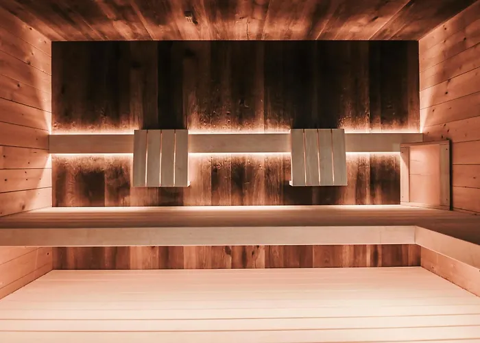 شاليه Alpin Dachsteinhaus *